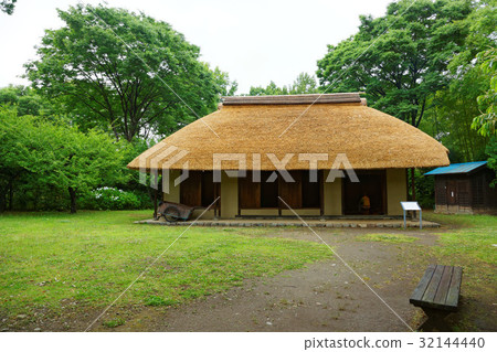 A local forest park To hydrangea of a thief A local forest park To hydrangea of a thief 32144440