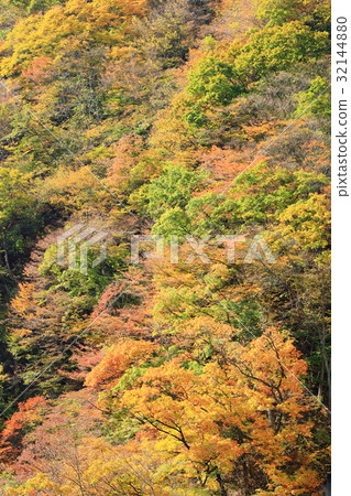 My wife valley fall 32144880