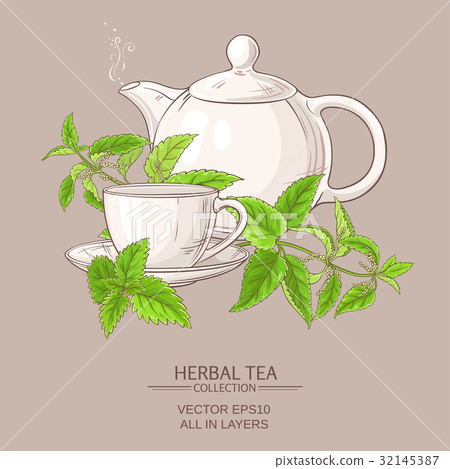 nettle tea illustration nettle tea illustration 32145387