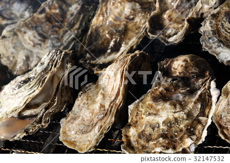 Oyster grilled barbecue 32147532