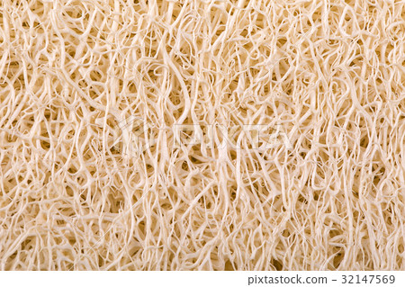loofah body scrub texture for background. loofah body scrub texture for background. 32147569