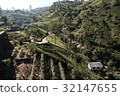 Tea plantations of Nuwara Eliya 32147655
