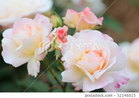 Gulds Anne Aachen Gulds Anne Aachen 32148815