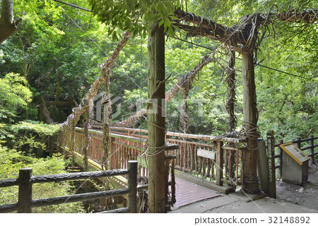 Monkey's Kazura Bashi clan stream 32148892