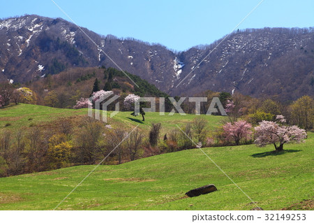 Yamagata Nishiozo Farm Spring Yamagata Nishiozo Farm Spring 32149253