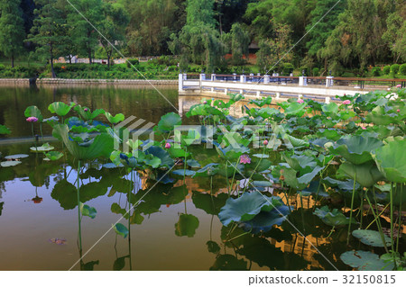 CUHK Reflection of the Lake Shatin CUHK Reflection of the Lake Shatin 32150815