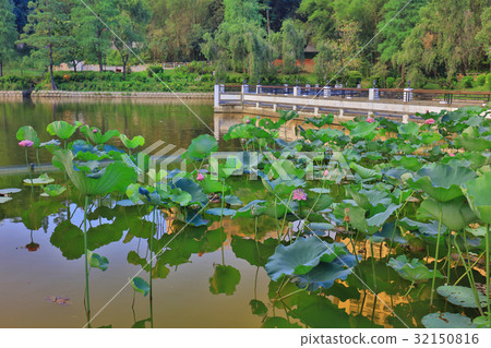 CUHK Reflection of the Lake Shatin 32150816
