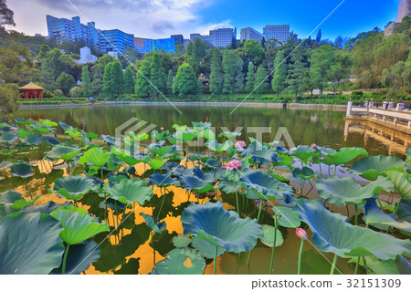 CUHK Reflection of the Lake Shatin CUHK Reflection of the Lake Shatin 32151309