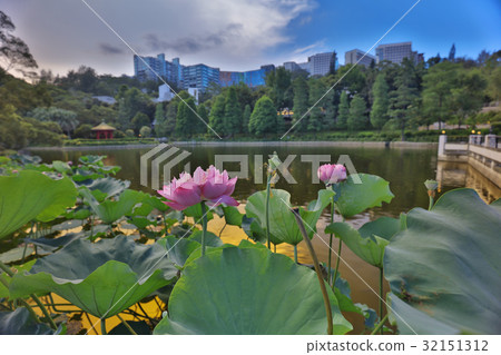CUHK Reflection of the Lake Shatin CUHK Reflection of the Lake Shatin 32151312