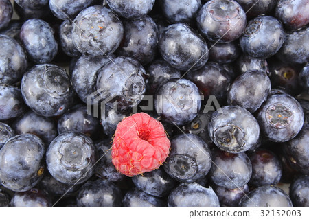 fresh blueberry fruits and a red raspberry closeup fresh blueberry fruits and a red raspberry closeup 32152003