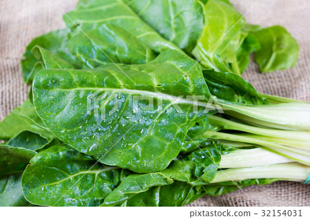 Bunch of Swiss chard Bunch of Swiss chard 32154031