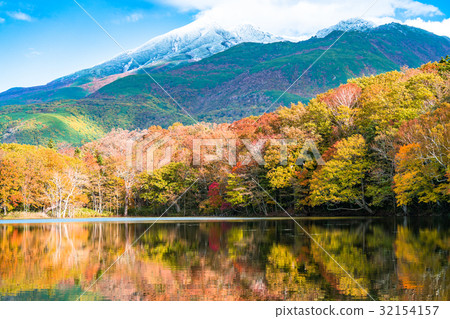 "Hokkaido" Autumn leaves, Shiretoko "Hokkaido" Autumn leaves, Shiretoko 32154157