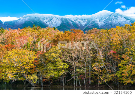 “北海道”秋葉,知床 “北海道”秋葉,知床 32154160