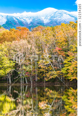 “北海道”秋葉,知床 “北海道”秋葉,知床 32154165