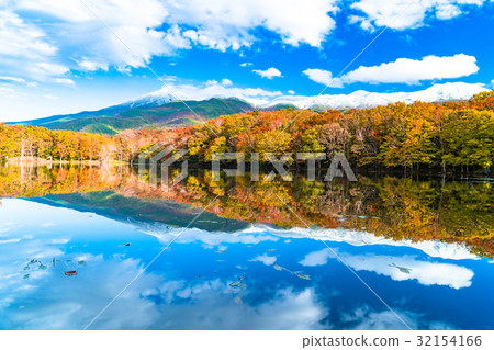 “北海道”秋葉,知床 “北海道”秋葉,知床 32154166