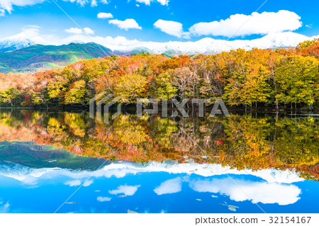"Hokkaido" Autumn leaves, Shiretoko "Hokkaido" Autumn leaves, Shiretoko 32154167