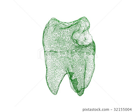 Dental wireframe tooth isolated on white 3D 32155004