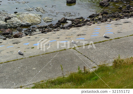 “Tobishima Beach”位於偏遠的島嶼上 “Tobishima Beach”位於偏遠的島嶼上 32155172