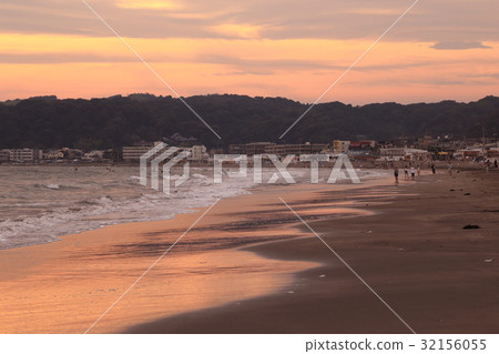 Timber Coast 32156055