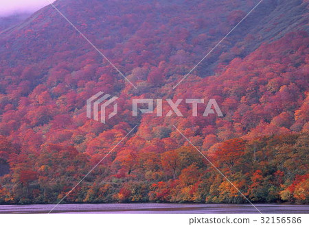 Mt. Kurikoma秋葉 32156586