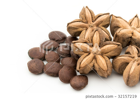 Sacha Inch Nuts: Sacha Inchi Nut Sacha Inch Nuts: Sacha Inchi Nut 32157219