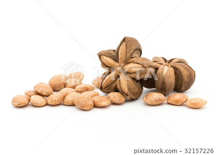 Sacha Inch Nuts: Sacha Inchi Nut 32157226