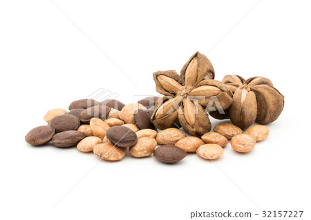 Sacha Inch Nuts: Sacha Inchi Nut 32157227