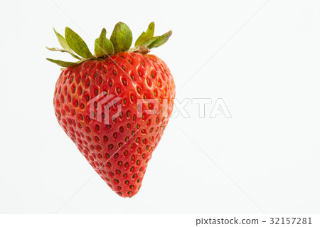 Strawberry (Fragaria ananassa) isolated 32157281