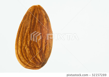 Almond seed (Prunus dulcis) isolated 32157289