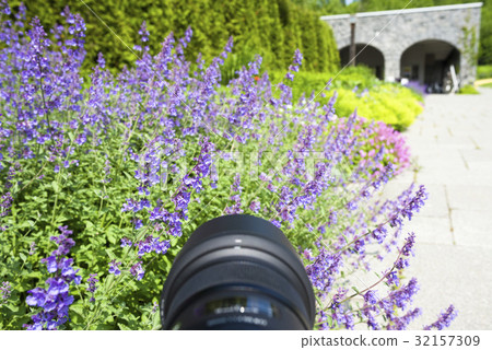 愛好攝影圖像（主觀圖像） 32157309