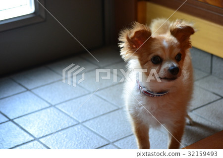 我們快點吧！ 32159493