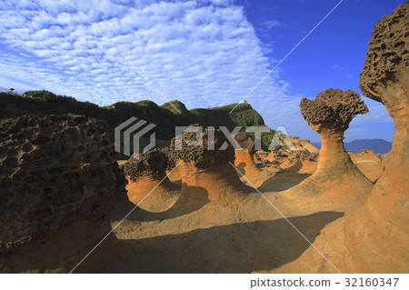 Taipei Area 32160347