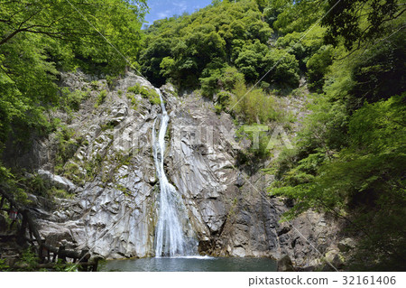 Tateki no Taki Otaki 32161406