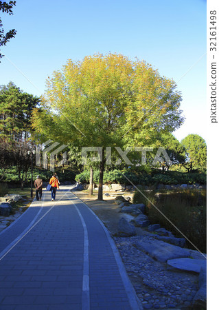 Landscape Landscape 32161498