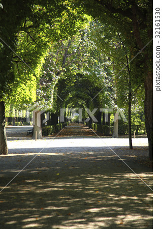 Landscape Landscape 32161530