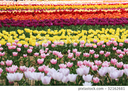 Churupppu 2396 Churupppu 2396 32162681