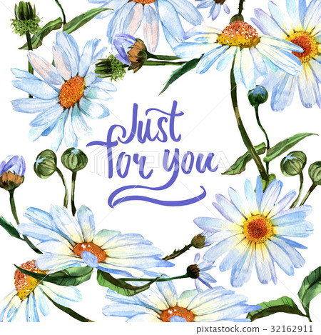 Wildflower daisy flower in frame a watercolor Wildflower daisy flower in frame a watercolor 32162911