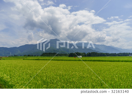 六天鎮鄉下風景在夏天 32163140