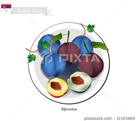 Plum, One of The Most Popular Fruit in Serbia Plum, One of The Most Popular Fruit in Serbia 32163669