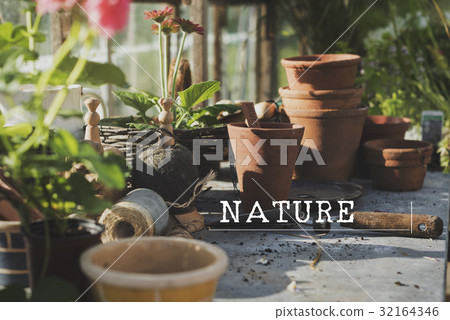 Planting Gardening Hobby Leisure Environment Planting Gardening Hobby Leisure Environment 32164346