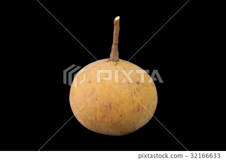 Santol fruit isolated on black background 32166633