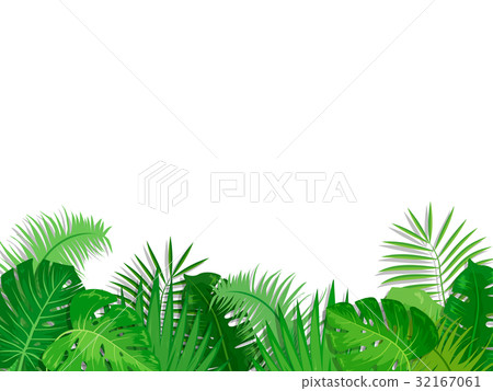 Botanical Tropical Plant Frame Leaf (Transparent) Botanical Tropical Plant Frame Leaf (Transparent) 32167061