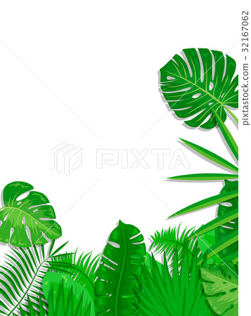 Botanical Tropical Plant Frame Leaf (Transparent) Botanical Tropical Plant Frame Leaf (Transparent) 32167062