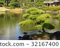 日本庭園松樹和池塘的風景 32167400
