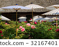 牡丹園 32167401