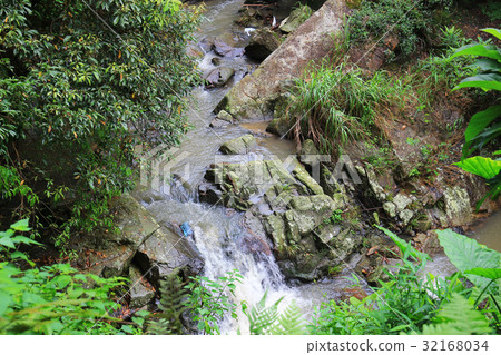 the little Hawaii trail at tko sai kung 32168034
