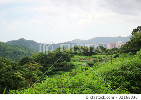 the desolate of feild Tseng Lan Shue 32168036