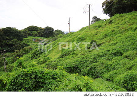 the desolate of feild Tseng Lan Shue the desolate of feild Tseng Lan Shue 32168038