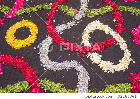 flowers petals background 32169361