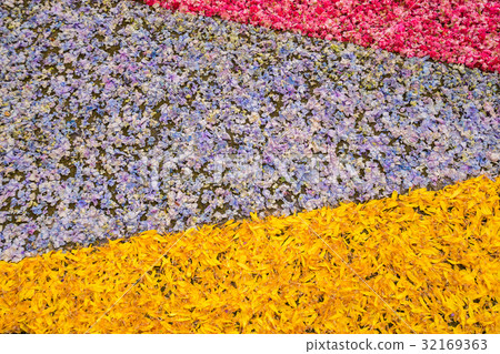 flowers petals background 32169363